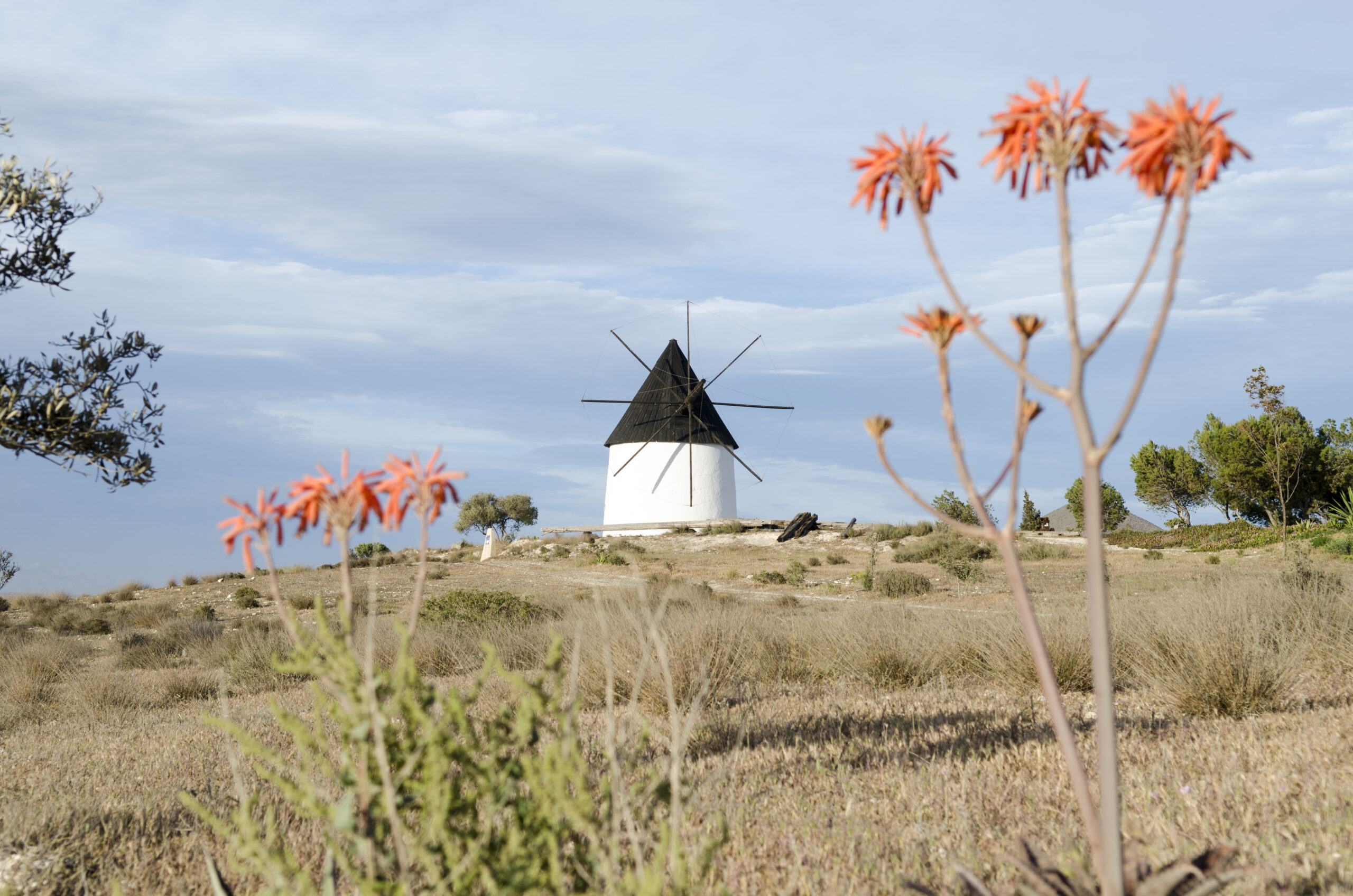 Aurinkovarma Almeria on rauhaa ja luontoa rakastavan golfarin unelmakohde Espanjan kaakkoiskulmassa